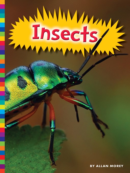 Title details for Insects by Allan Morey - Available